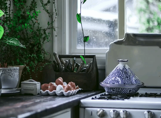 steaming kettle on stove
